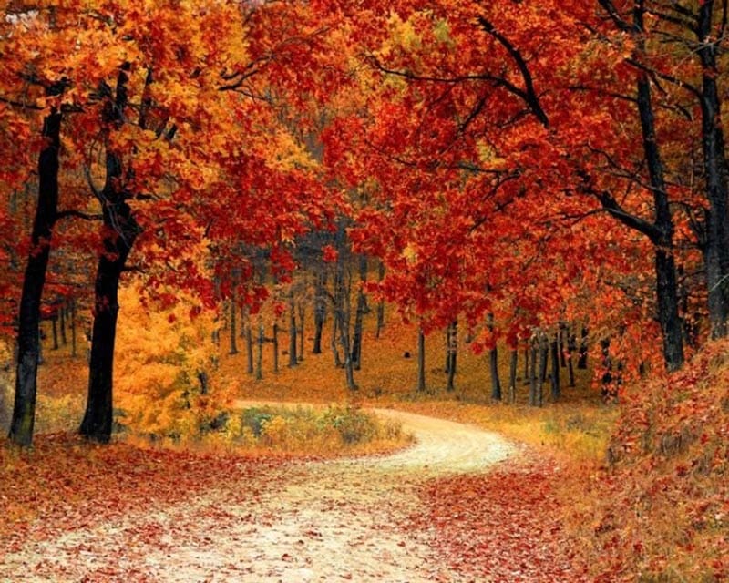 Analiza kolorystyczna - jesień